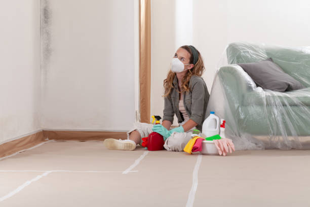 Reliable Attic Mold Remediation contractor in Quincy, WA by 24 Hour Mold Removal